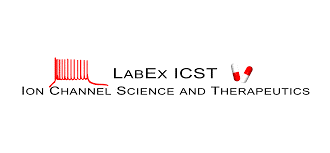 Labex ICST